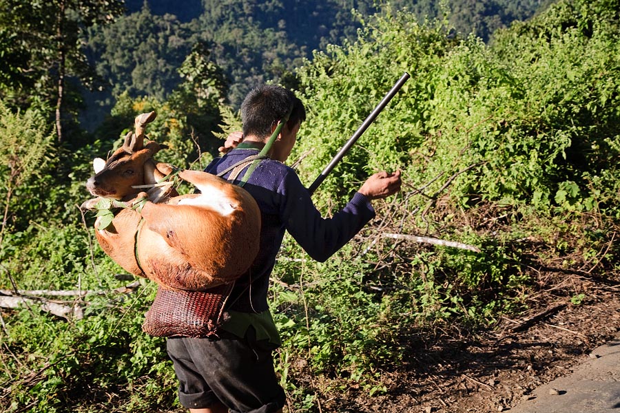  Hunter returning home with his catch, near Pasighat